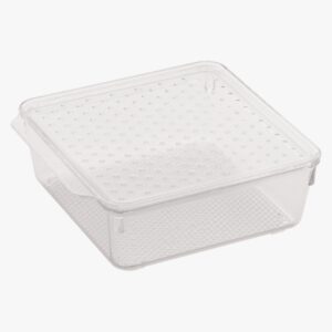 Tray with Lid : Small - Image 4