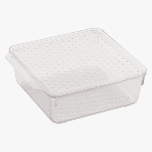Tray with Lid : Small