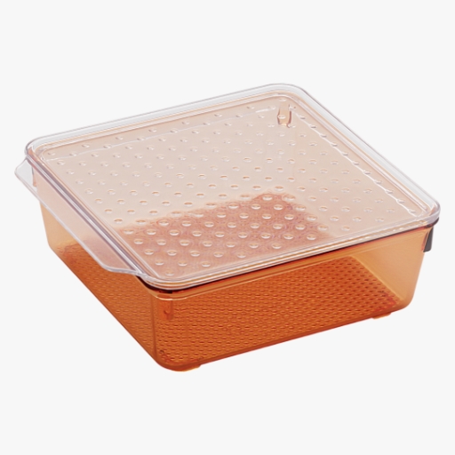 Tray with Lid : Small