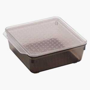 Tray with Lid : Small - Image 6