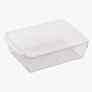 Tray with Lid : Medium - Image 3