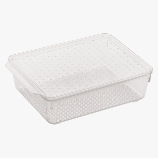 Tray with Lid : Medium