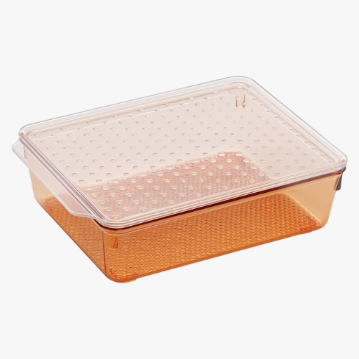 Tray with Lid : Medium