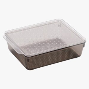 Tray with Lid : Medium - Image 5