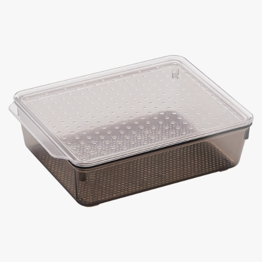 Tray with Lid : Medium