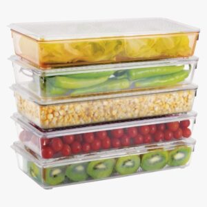 Tray with Lid : Big