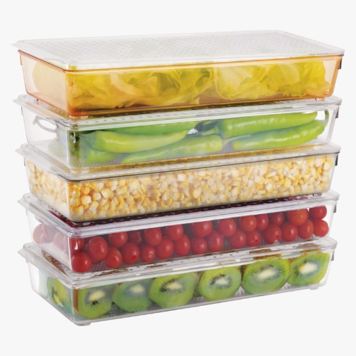 Tray with Lid : Big