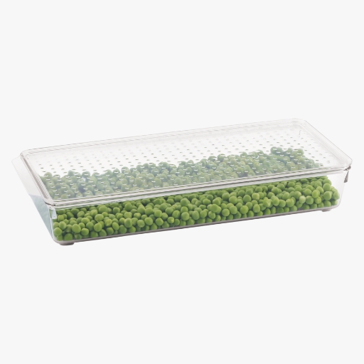 Tray with Lid : Big
