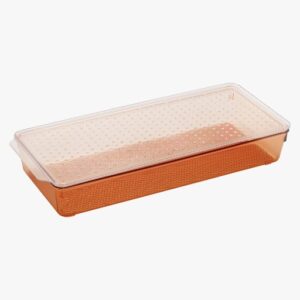 Tray with Lid : Big - Image 3