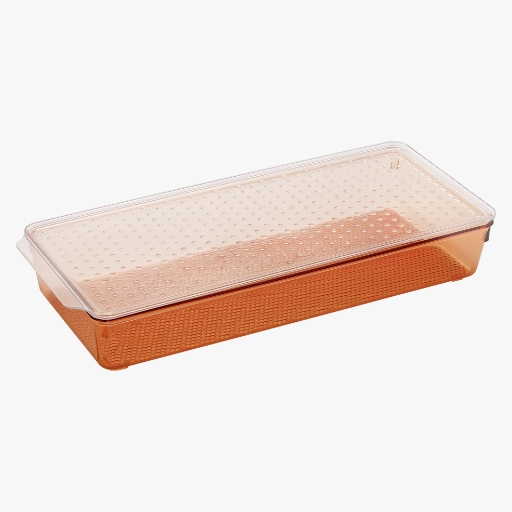 Tray with Lid : Big